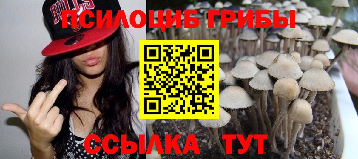 Псилоцибиновые грибы Psilocybine cubensis Миасс